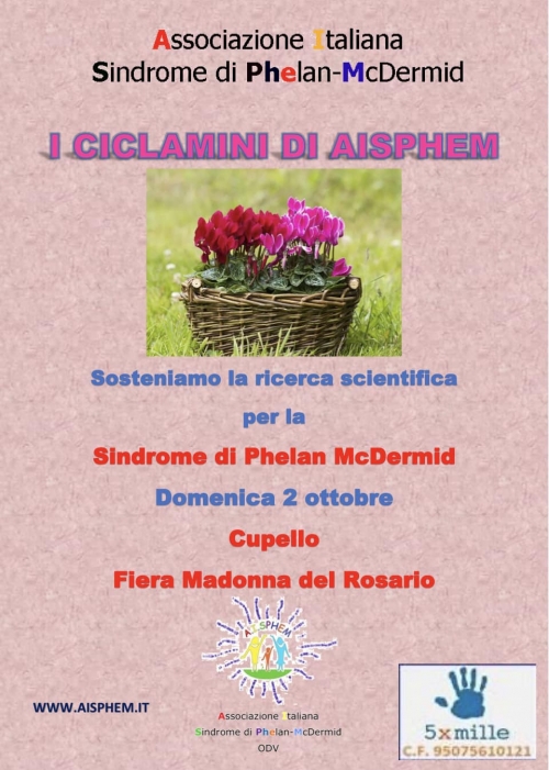 02 ottobre 2022 Cupello (CH) - I ciclamini di Aisphem