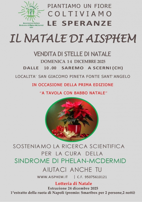 14 dicembre 2025 Scerni (CH) - Le Stelle di Natale di Aisphem