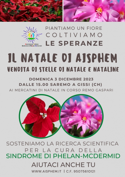 03 dicembre 2023 Gissi (CH) - Il Natale di Aisphem